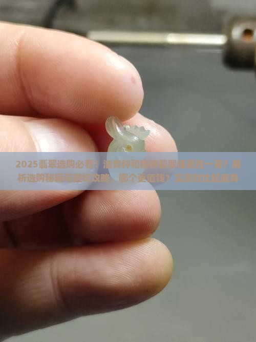 油青种翡翠和糯种翡翠谁好看