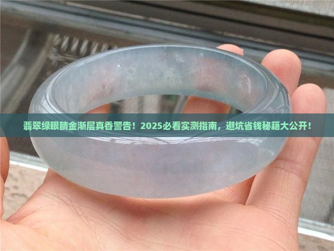翡翠绿眼睛金渐层
