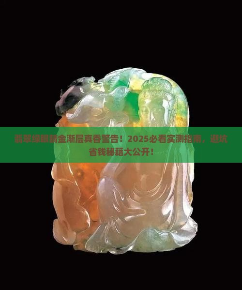 翡翠绿眼睛金渐层