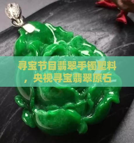 寻宝节目翡翠手镯塑料