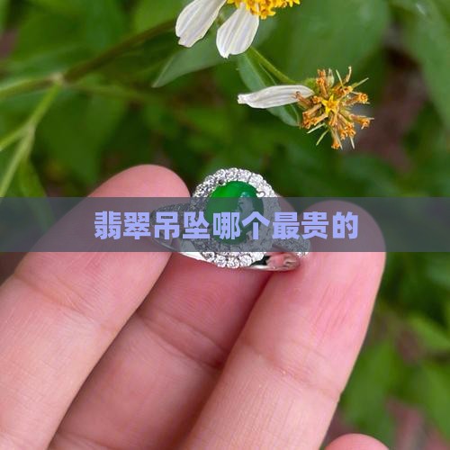 翡翠吊坠哪个最贵的