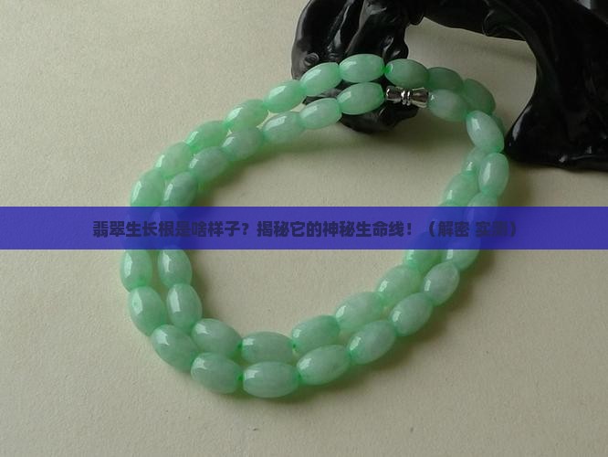 翡翠生长根是啥样子
