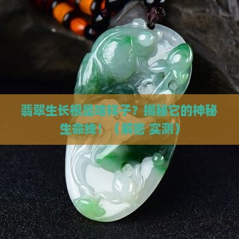翡翠生长根是啥样子