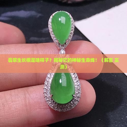 翡翠生长根是啥样子