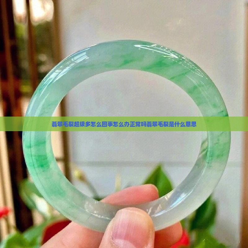 翡翠毛裂超级多
