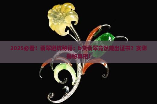 b货翡翠竟然能出证书