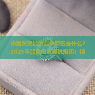 中国发现最大翡翠原石是什么