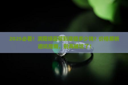 满阳绿翡翠什么价