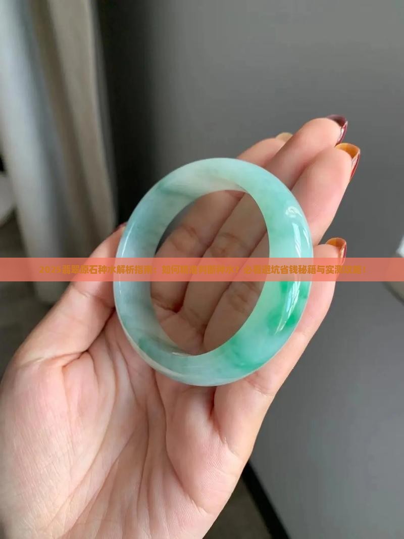 翡翠原石的种怎样看