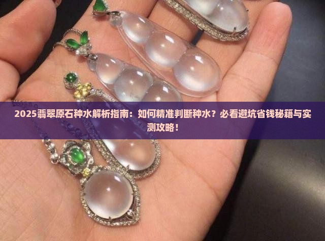 翡翠原石的种怎样看