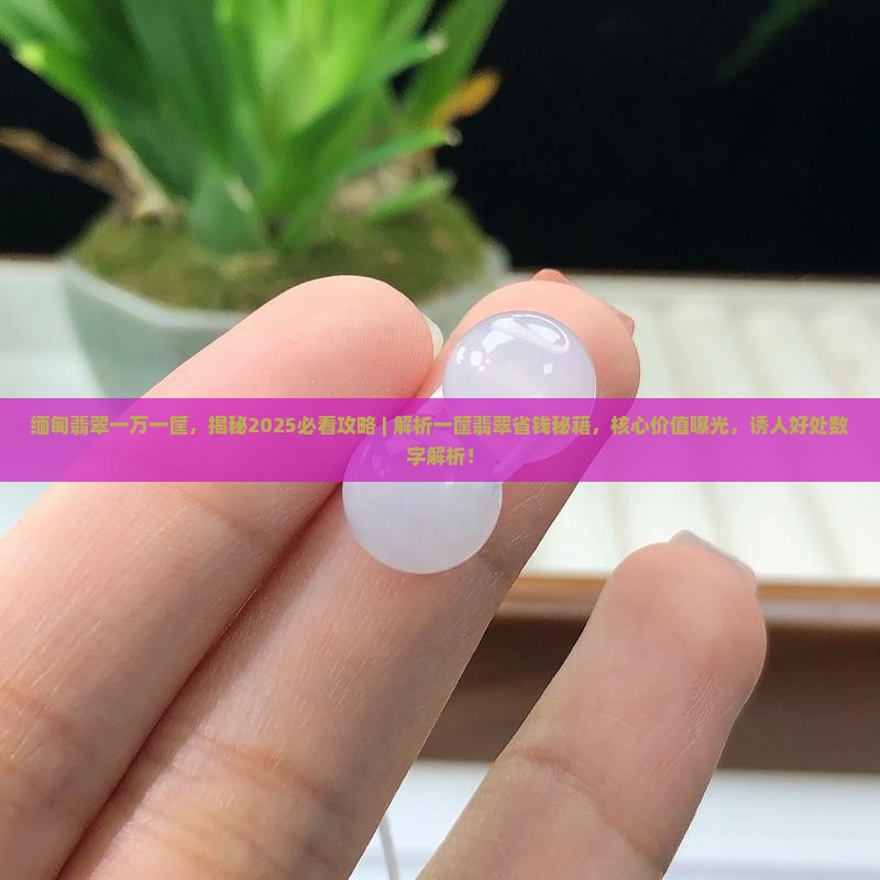 缅甸翡翠一万一筐