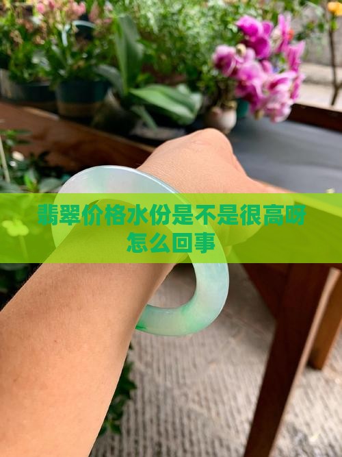 翡翠价格水份是不是很高呀