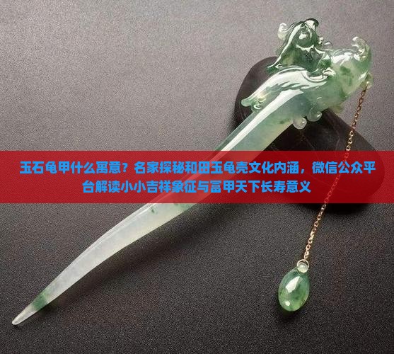 玉石龟甲什么寓意