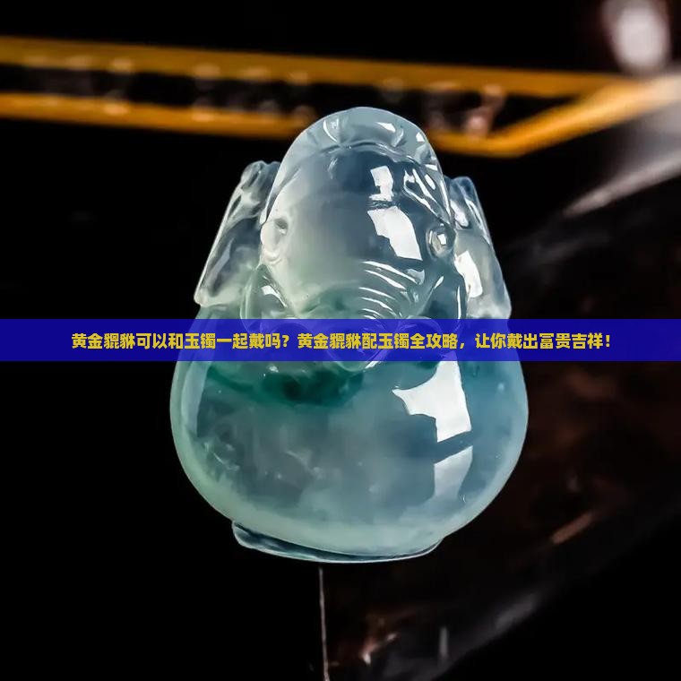 黄金貔貅可以和玉镯一起戴吗