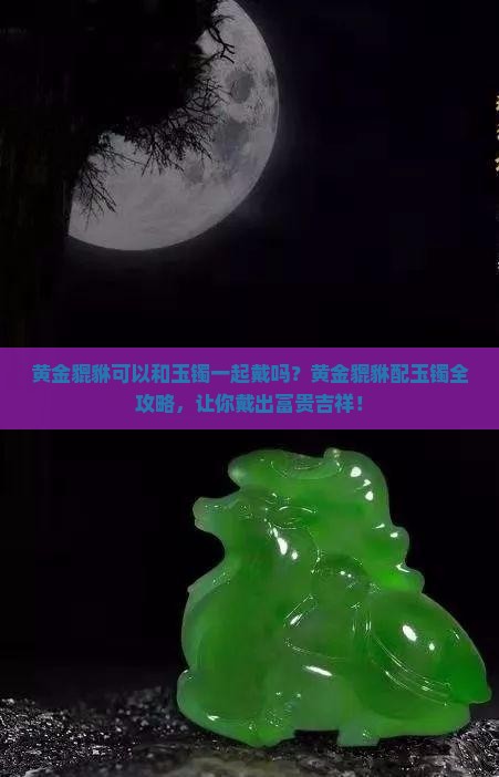 黄金貔貅可以和玉镯一起戴吗