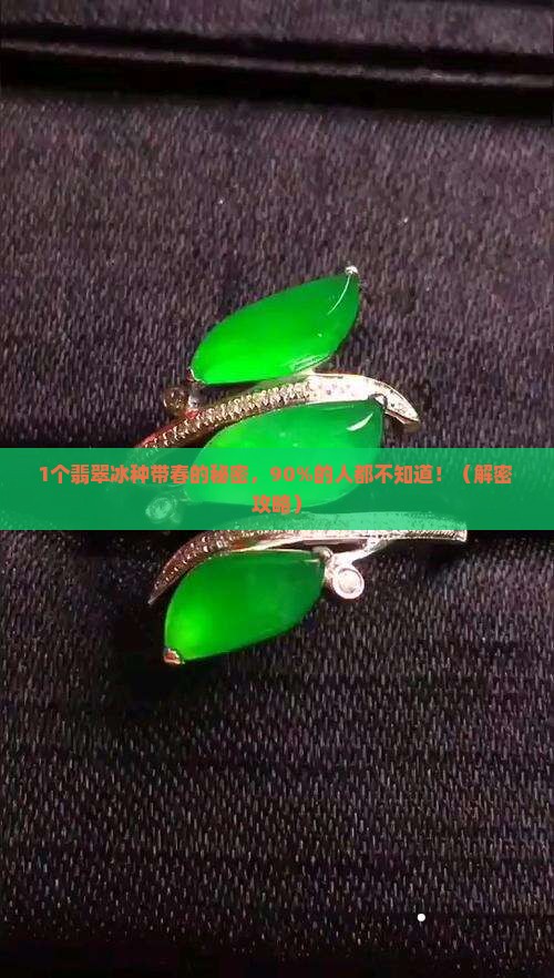 翡翠冰种带春的意思