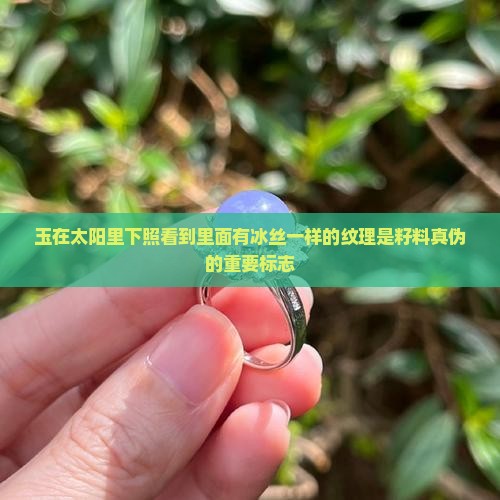 玉在太阳里下照看到里面有冰丝一样的