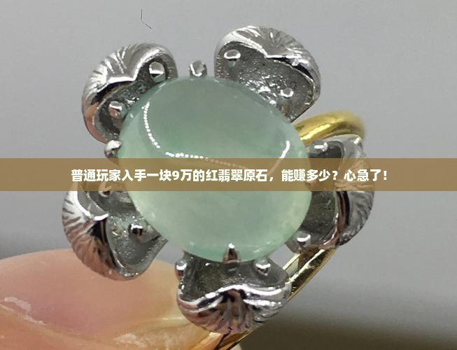 一块好的红翡翠原石多少钱