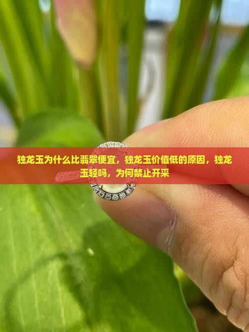 独龙玉为什么比翡翠便宜