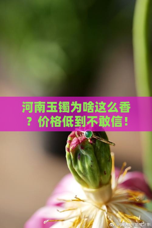 河南玉镯为什么那么便宜