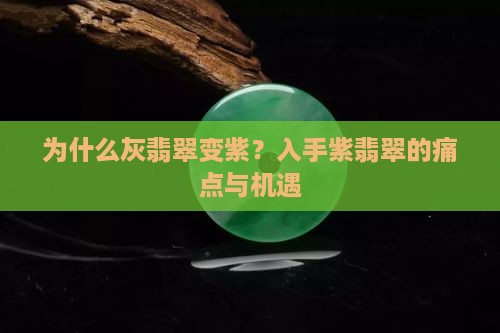 灰翡翠变紫