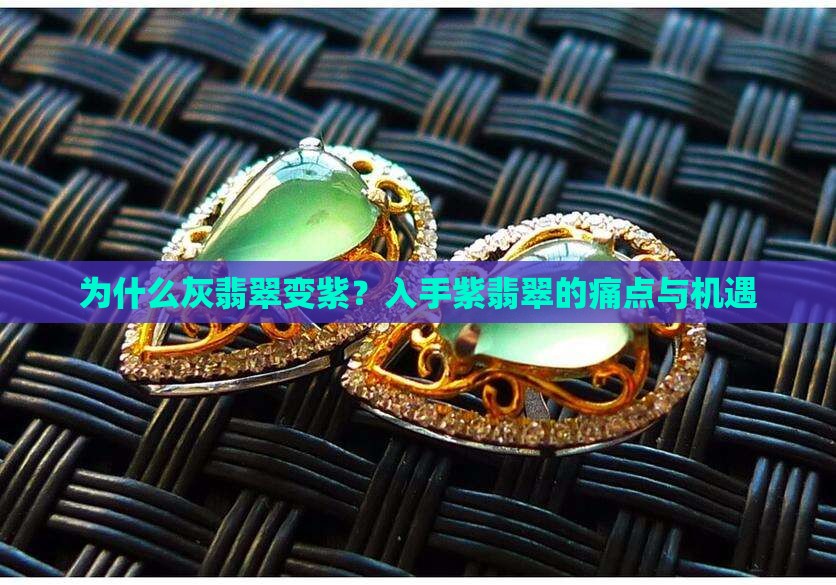 灰翡翠变紫