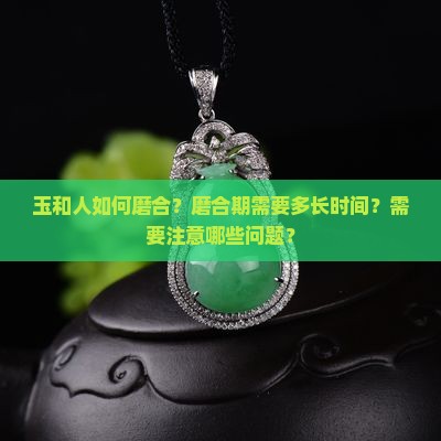玉和人的磨合期多久