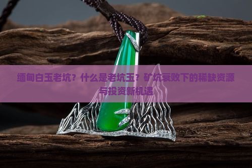缅甸白玉老坑