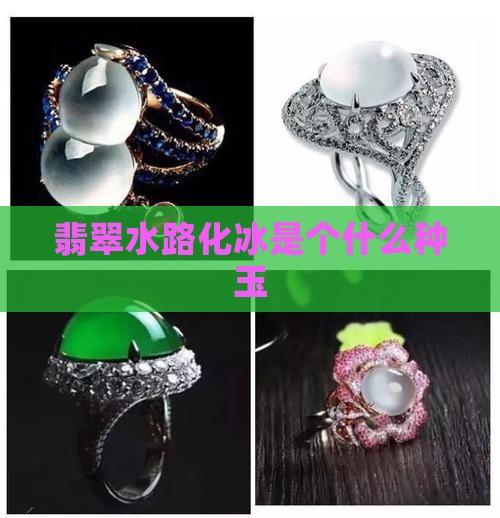 水路化冰是个什么种玉