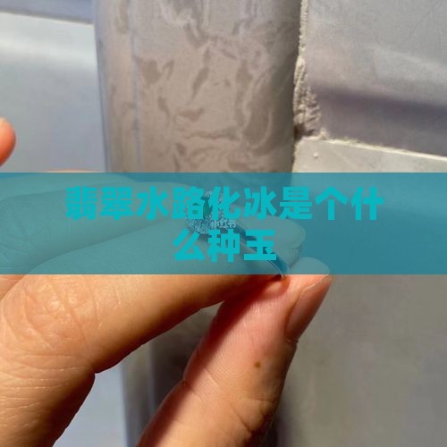 水路化冰是个什么种玉