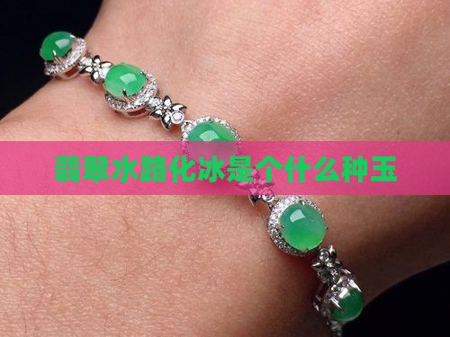 水路化冰是个什么种玉