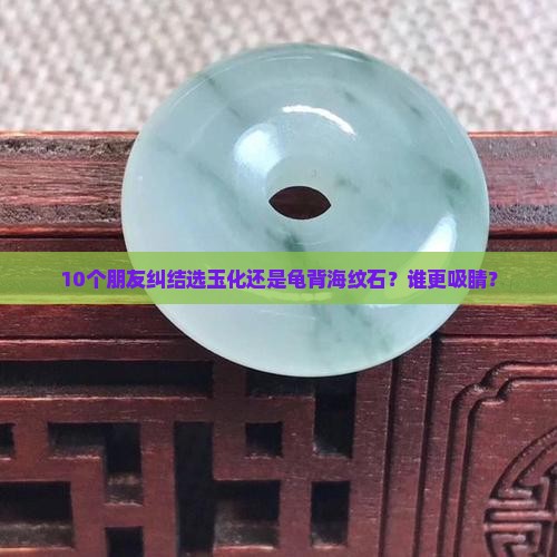 玉化和龟背海纹石哪个好