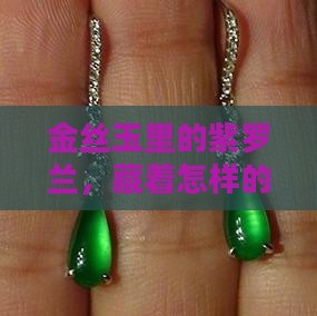 金丝玉紫罗兰