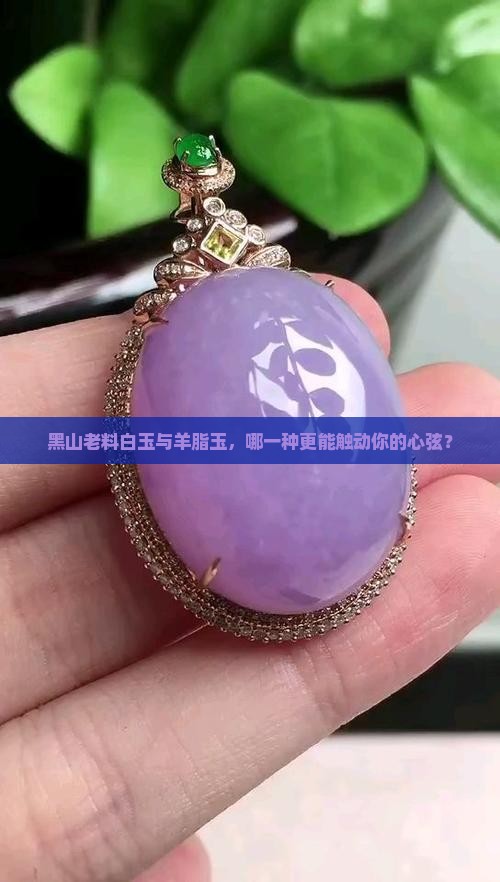 黑山老料白玉和羊脂玉