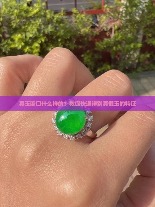 真玉断口什么样的