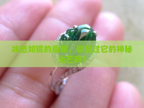 冰玻种翡翠及其特征