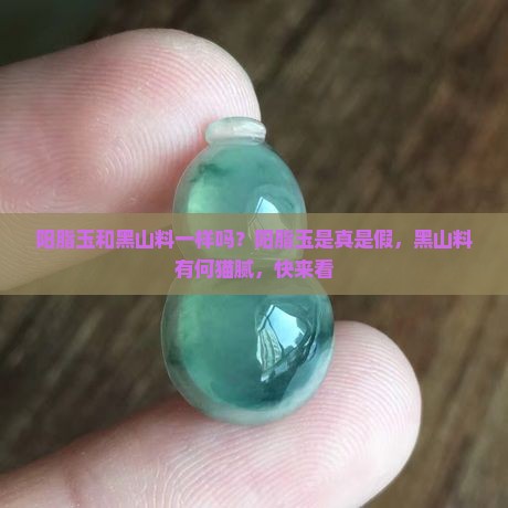 阳脂玉和黑山料一样吗 阳脂玉和黑山料一样吗
