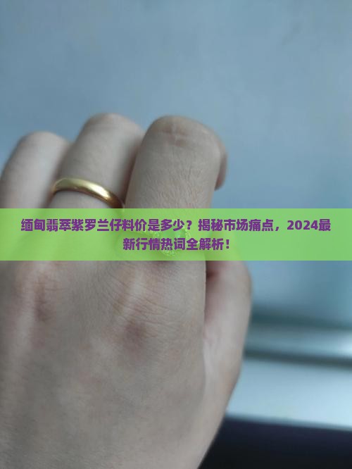 缅甸翡萃紫罗兰仔料价是多少