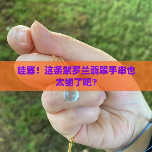 紫罗兰翡翠手串