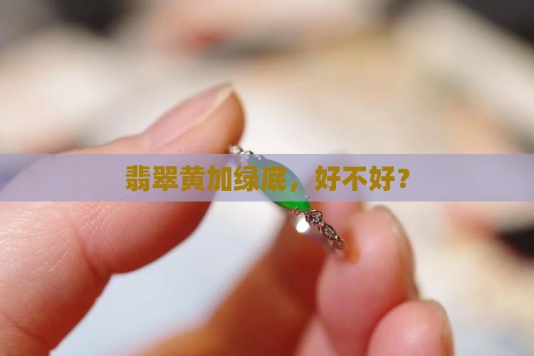 黄底绿翡翠好不好