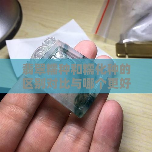 翡翠糯种和糯化种