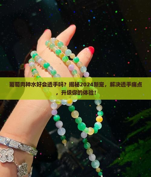 葡萄肉种水好会透手吗