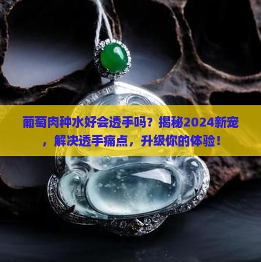 葡萄肉种水好会透手吗