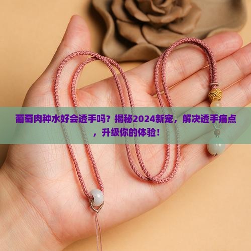 葡萄肉种水好会透手吗