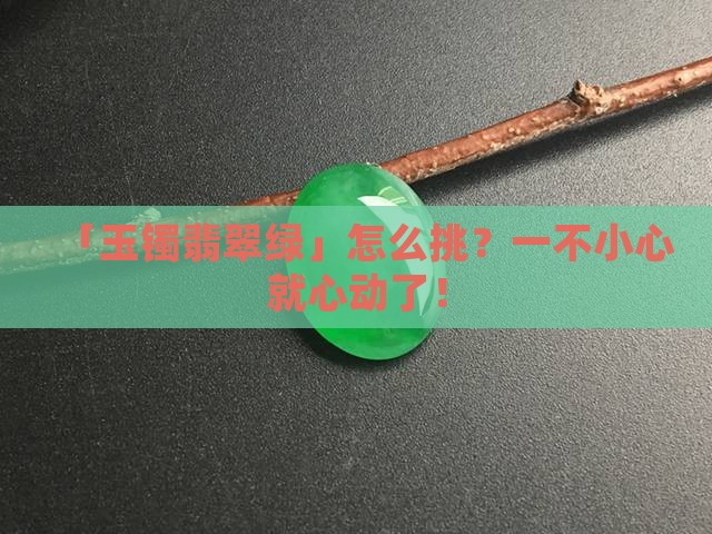 玉镯翡翠绿怎么选玉镯翡翠绿怎么选