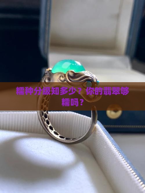 糯种分别有几个级别
