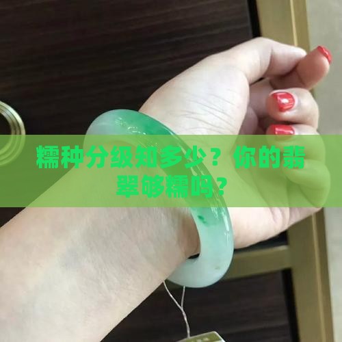 糯种分别有几个级别