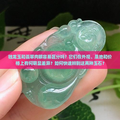 独龙玉和翡翠肉眼容易区分吗