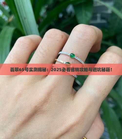 翡翠65号
