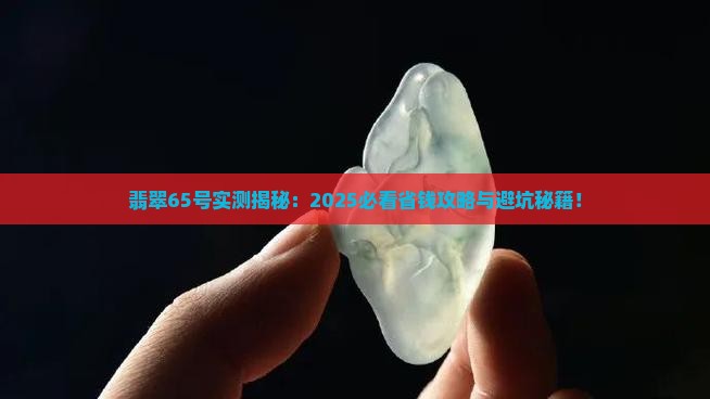 翡翠65号